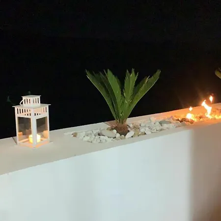 Duplex Botanico